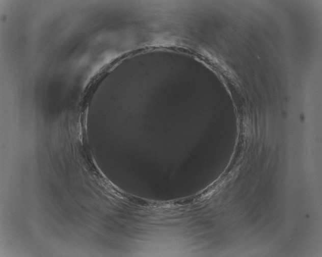 X0000066121262200603101227