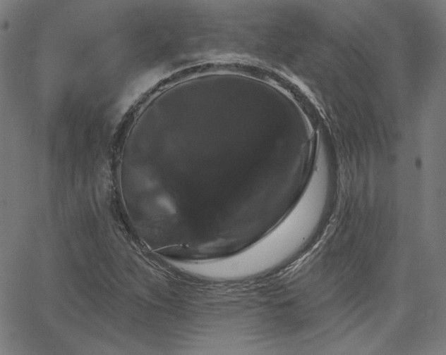 X0000066121263200603101226