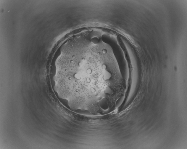 X0000066121264200603101226