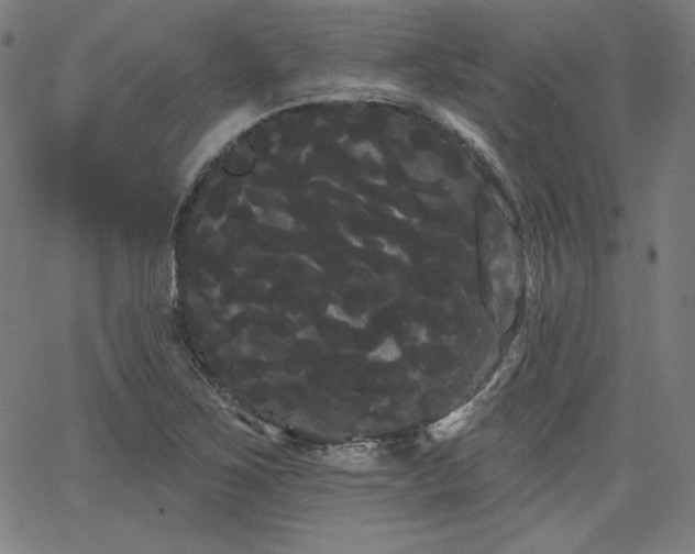 X0000066121267200603101226