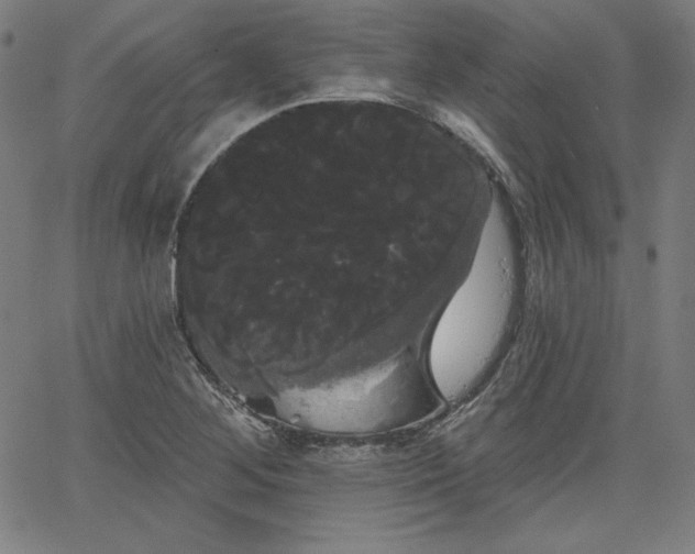 X0000066121268200603101226