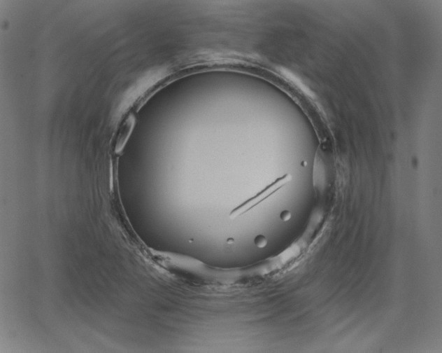 X0000066121269200603101226