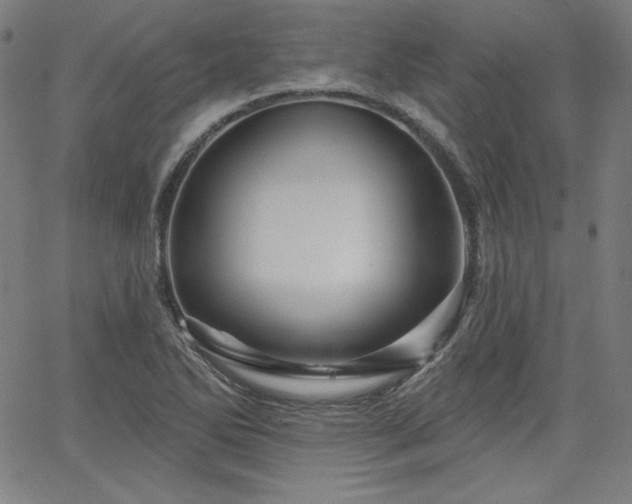 X0000066121270200603101226