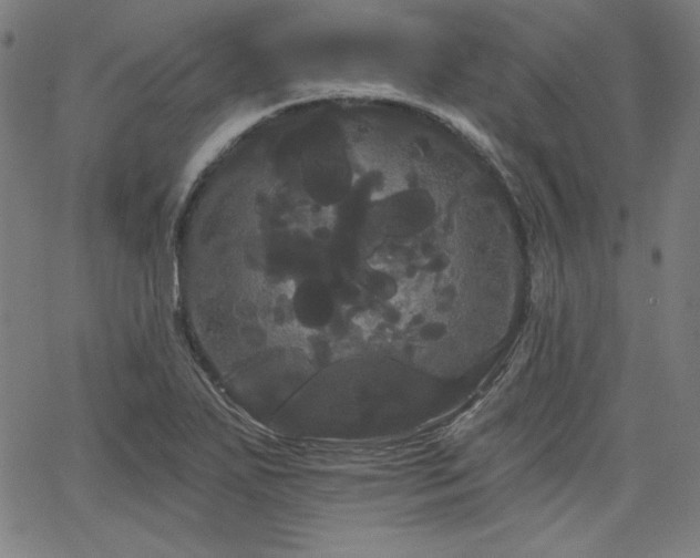 X0000066121271200603101226