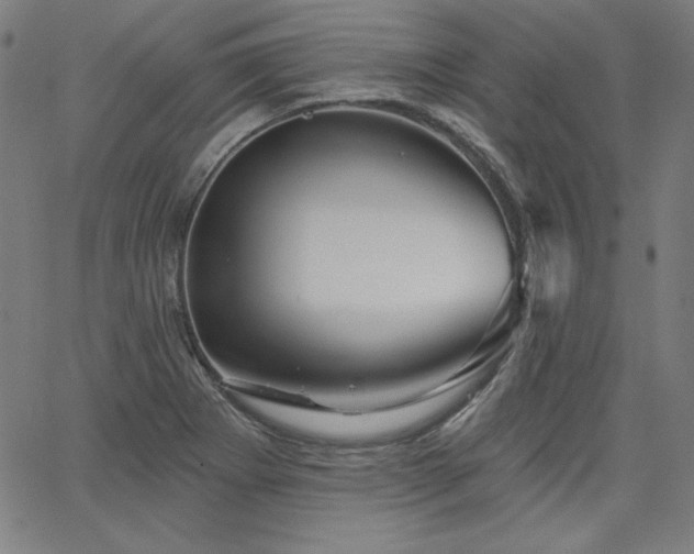 X0000066121273200603101226