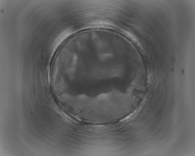 X0000066121275200603101226