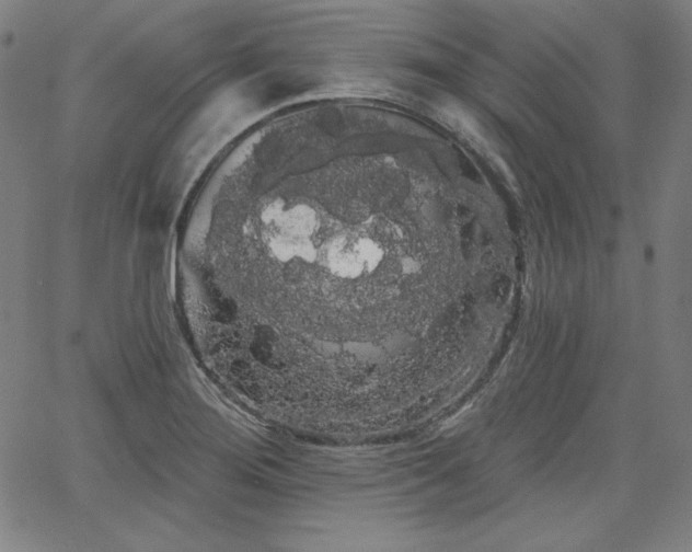 X0000066121276200603101226