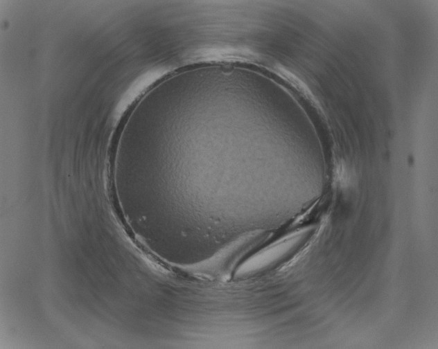 X0000066121277200603101226