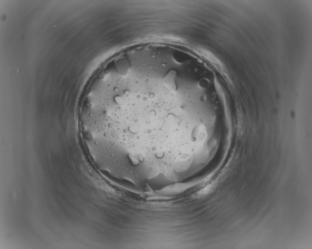 X0000066121280200603101226