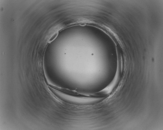 X0000066121281200603101226