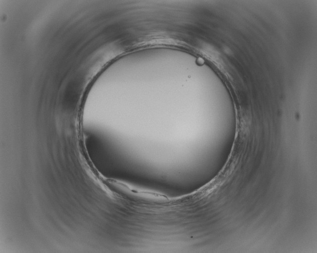 X0000066121282200603101226