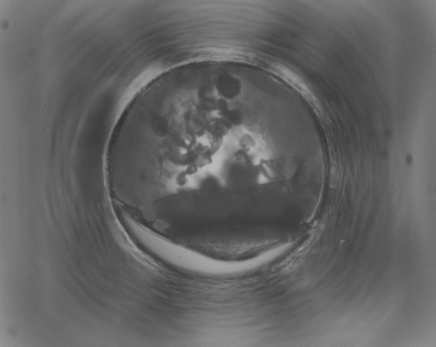 X0000066121283200603101226