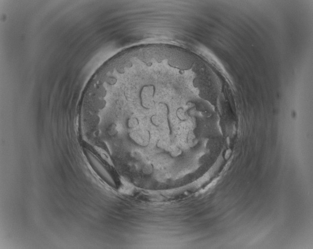 X0000066121284200603101226