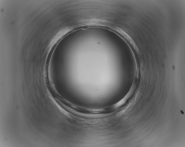 X0000066121285200603101226