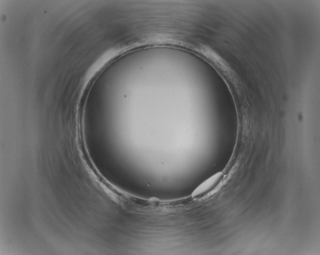 X0000066121286200603101226