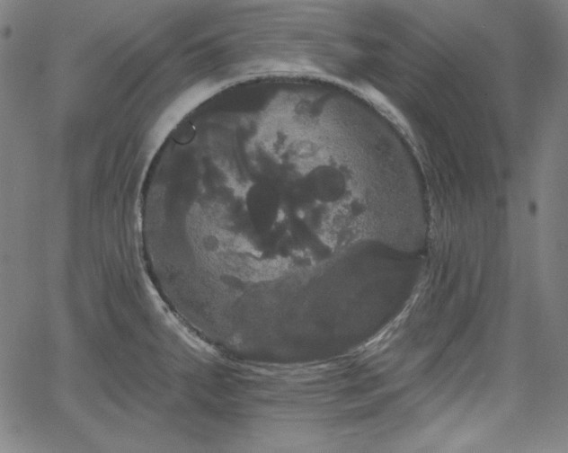 X0000066121287200603101226