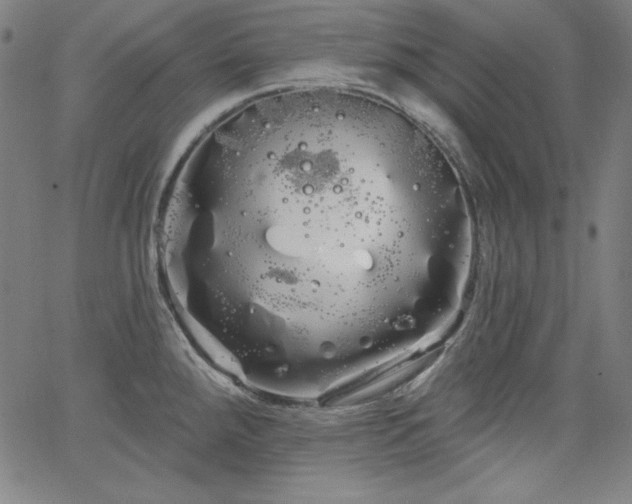 X0000066121288200603101226