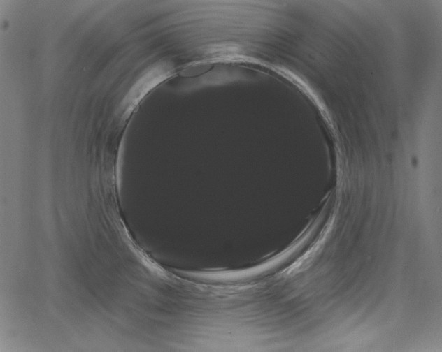 X0000066121289200603101226