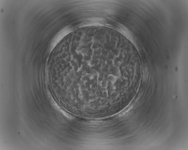 X0000066121290200603101226