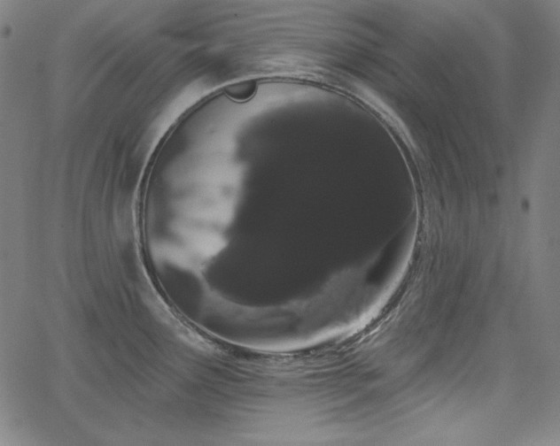 X0000066121291200603101226