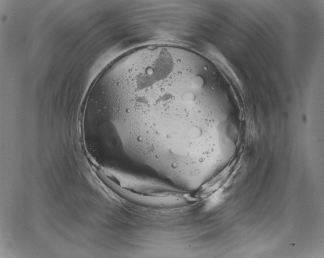 X0000066121292200603101226