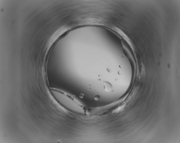 X0000066121293200603101226