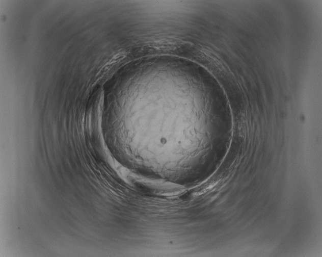 X0000066121298200603101225