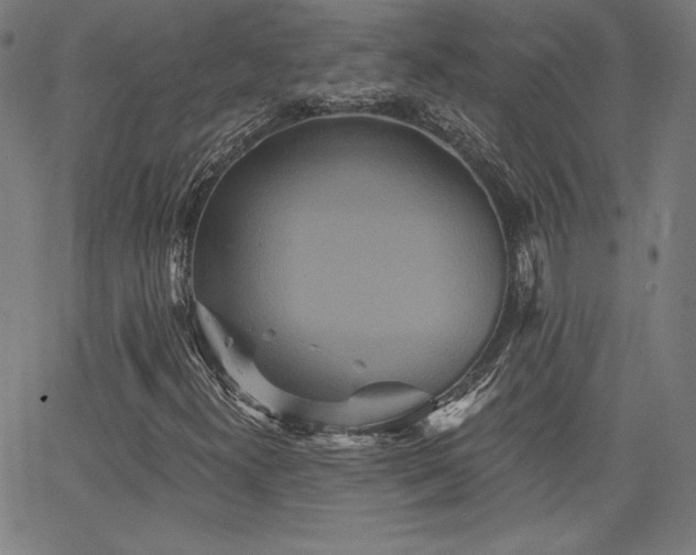 X0000066121300200603101225