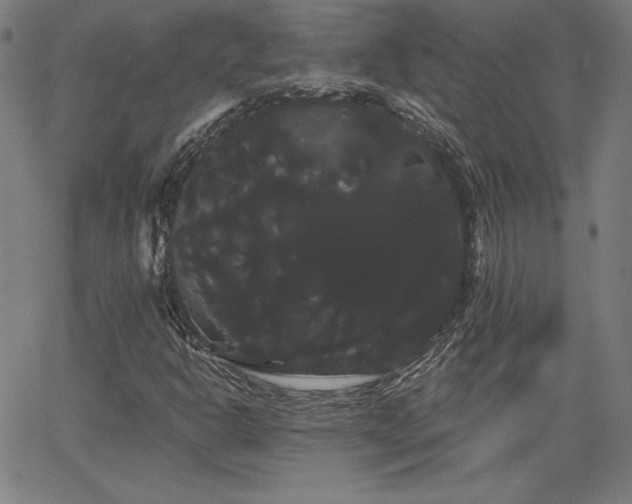 X0000066121302200603101225