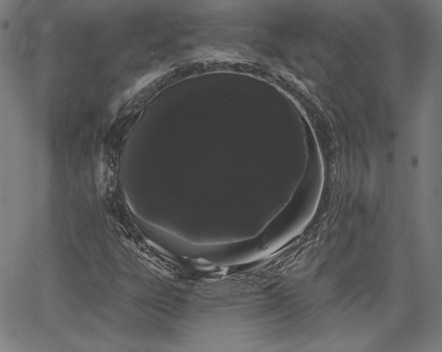 X0000066121303200603101225