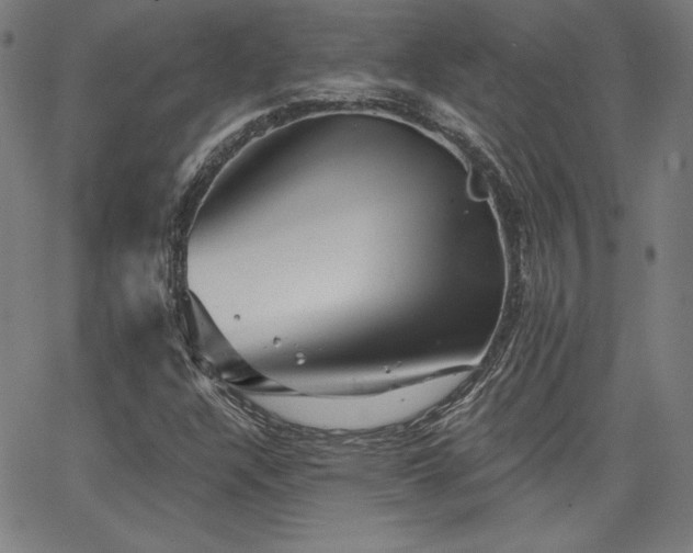 X0000066121304200603101225