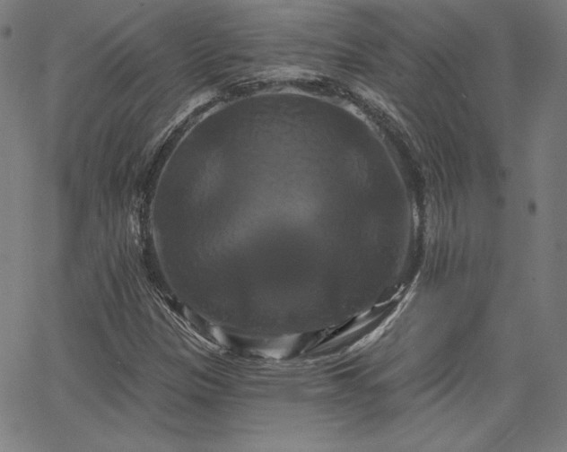 X0000066121305200603101225