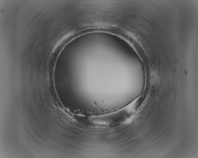 X0000066121307200603101225