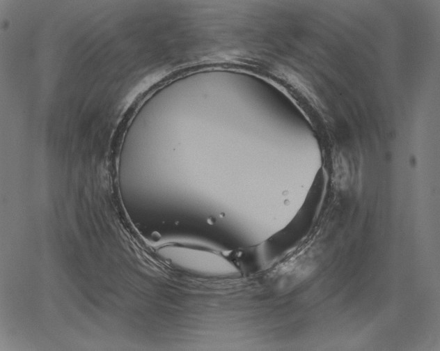 X0000066121308200603101225