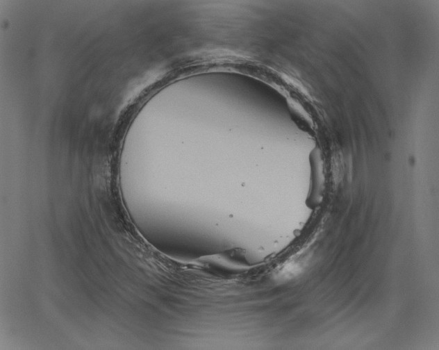 X0000066121309200603101225