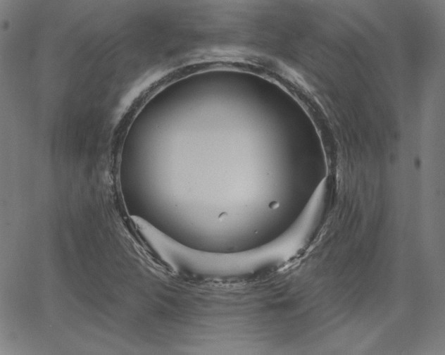 X0000066121312200603101225