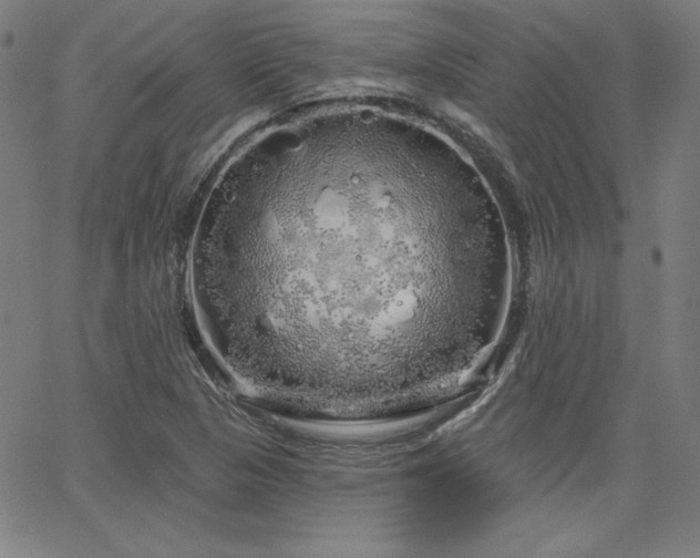 X0000066121313200603101225