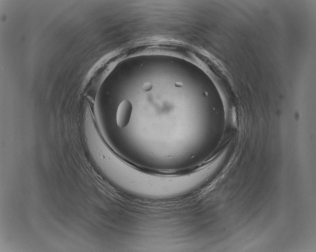 X0000066121314200603101225