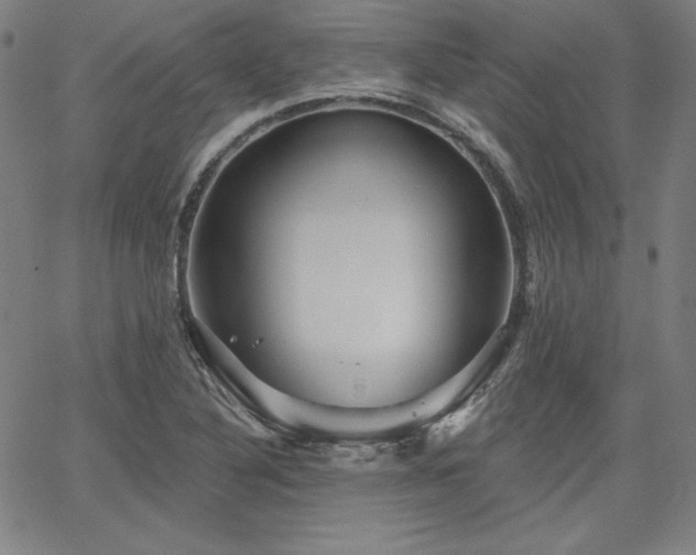 X0000066121316200603101225