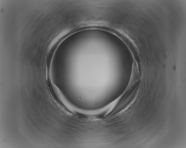 X0000066121317200603101226