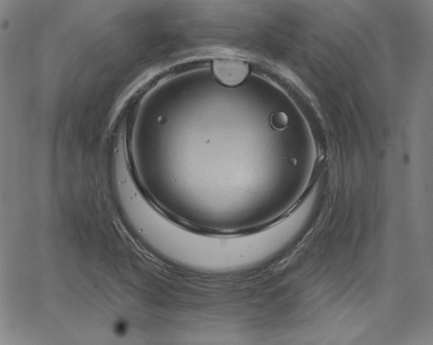 X0000066121318200603101226