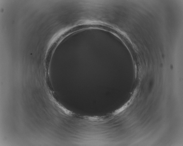 X0000066121319200603101226