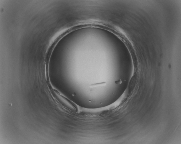 X0000066121320200603101226