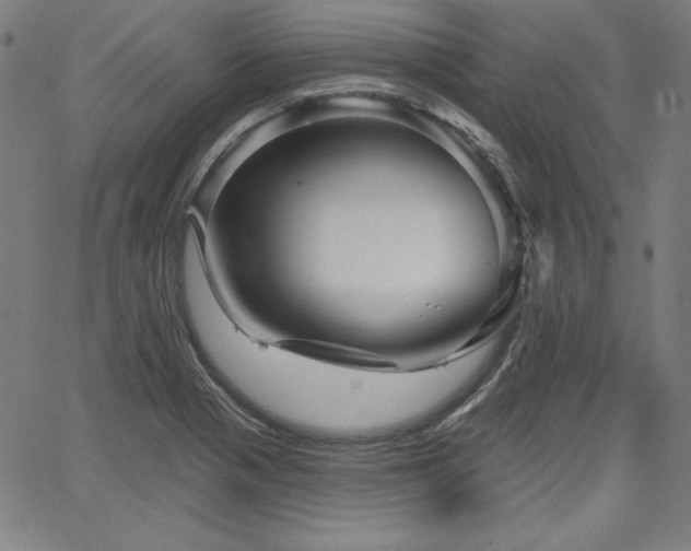 X0000066121321200603101226