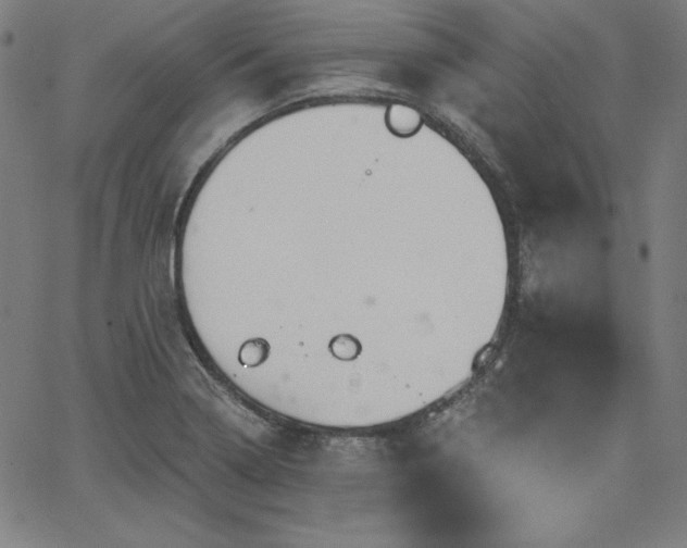 X0000066121322200603101226