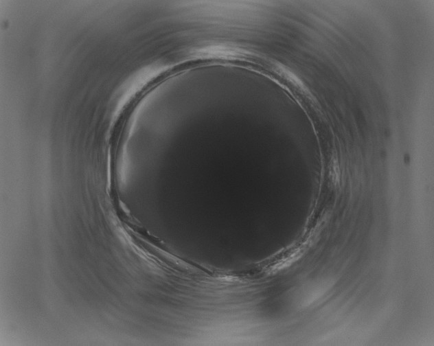 X0000066121323200603101226