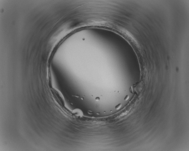 X0000066121324200603101226