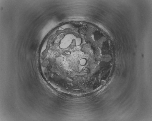 X0000066121325200603101226