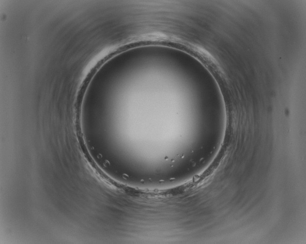 X0000066121326200603101226