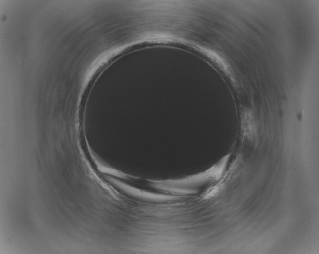 X0000066121327200603101226